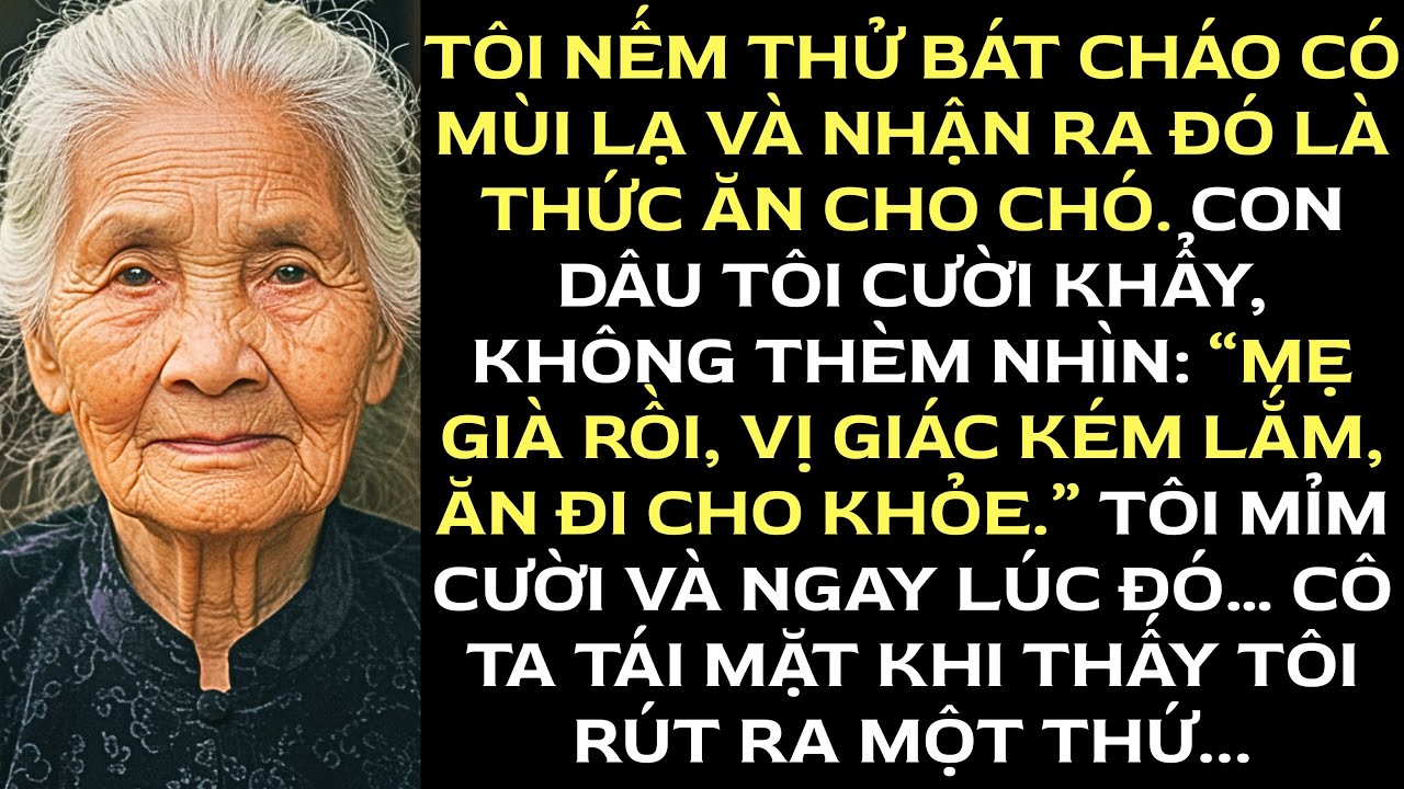 Con dâu cho tôi ăn thức ăn cho chó... tưởng tôi sẽ không nhận ra…