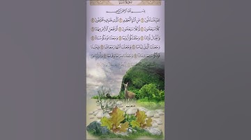 عَمَّ يَتَسَاءَلُنَ😔سورة _النبأ🗣️أحمد خضر#اكسبلور #المصحف#اكسبلور #إعجاب ♥️