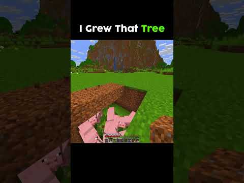 I Grew That Tree