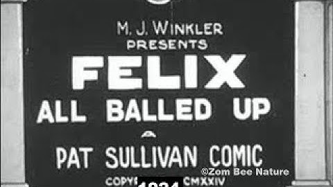 Felix The Cat All Balled Up - 1924