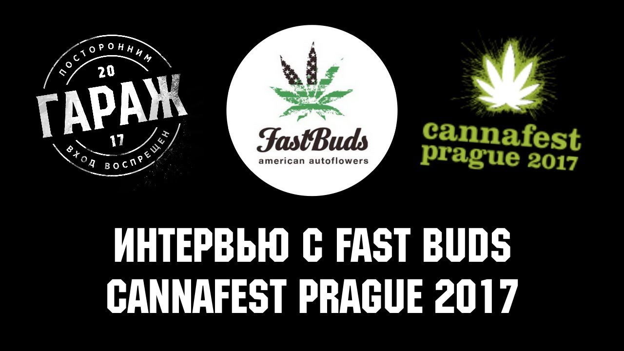 FASTBUDS logo. Cannafest tickets. Сид банк