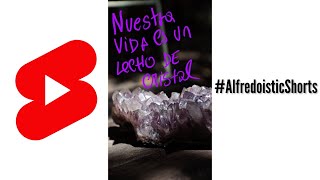 La Rueda Mágica 💎 #AlfredoisticShorts