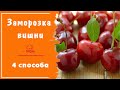 Как правильно заморозить вишню на зиму - 4 лучших способа заморозки в домашних условиях