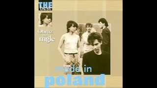 Video thumbnail of "Made in Poland - Ja myślę"