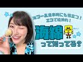 【エコで経済的?!】海綿って知ってる?