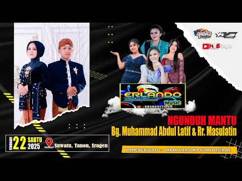 Ter uning mushuk video Ter uning mushuk video