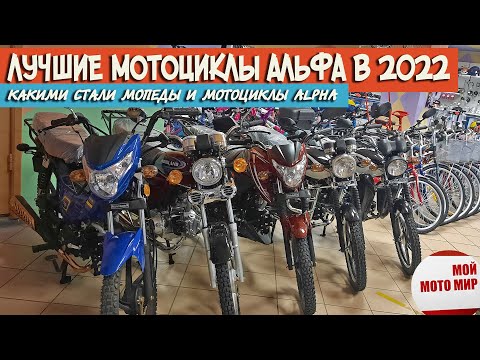 Какие выбрать мотоциклы Альфа в 2022 году? Лучшие мопеды Alpha от Motoland