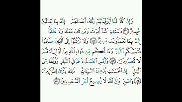 11 - سورة هود ١١١-١١٥ - ماهر المعيقلي