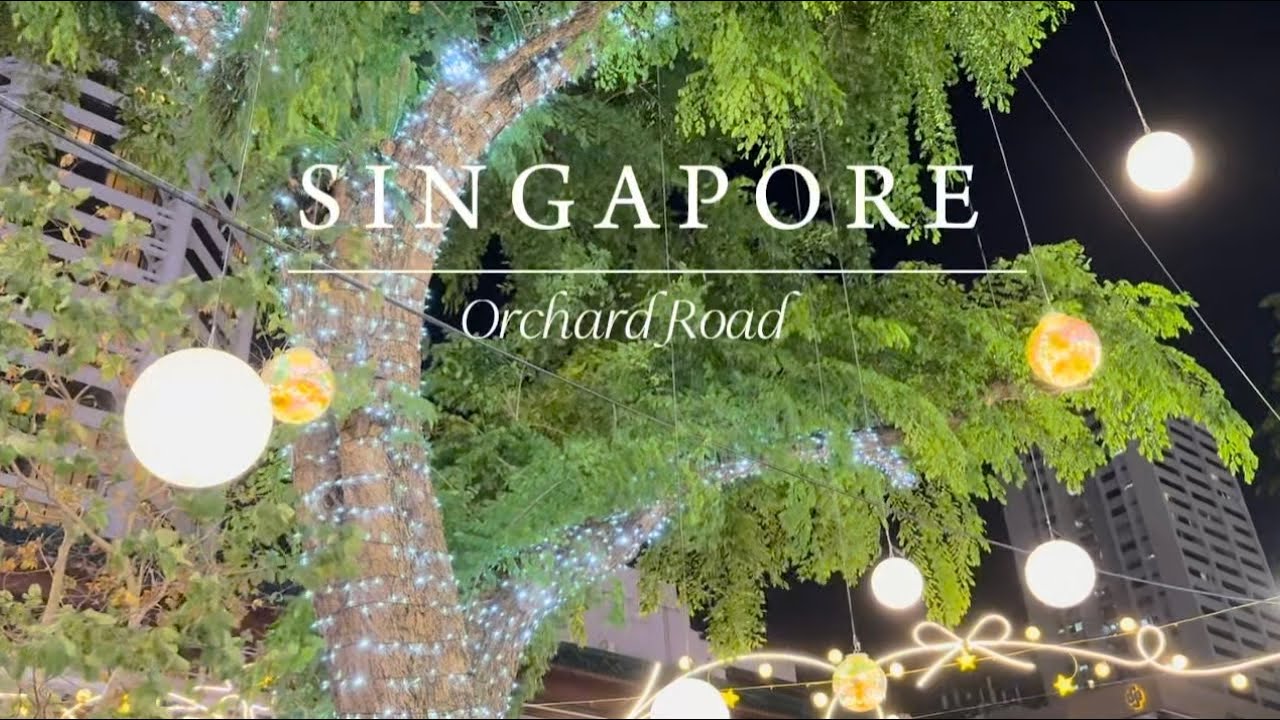 Singapore | Exploring Christmas Vibes at Orchard Road, Dinner, Christmas Decorations 