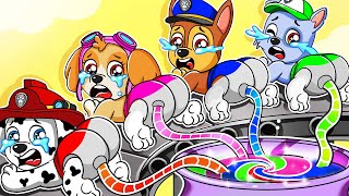 Brewing Cute Baby Factory But COLOR Are MISSING?! - Paw Patrol Ultimate Rescue - Rainbow Friends 3