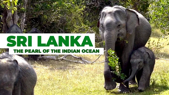 Travel Sri Lanka - The Pearl OF The Indian Ocean | TVSL - DayDayNews