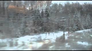 Карелия. Зимний лесной пейзаж из окна поезда