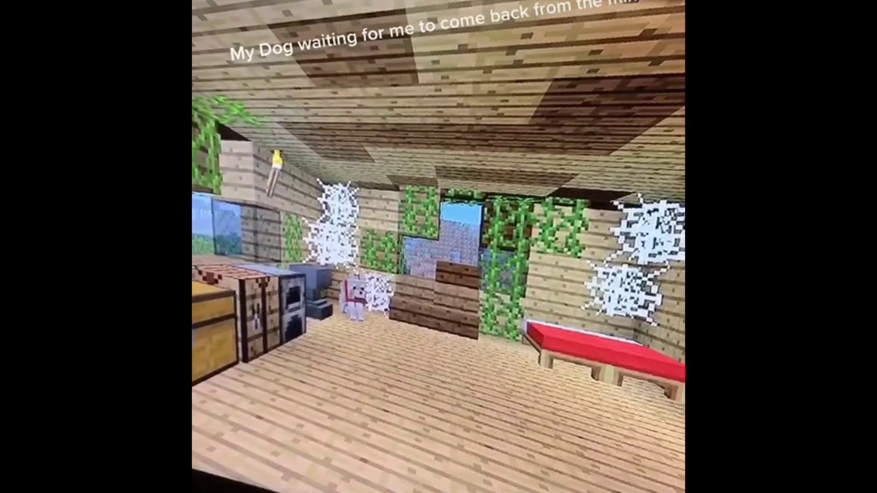 Minecraft Dog waiting For Owner YouTube
