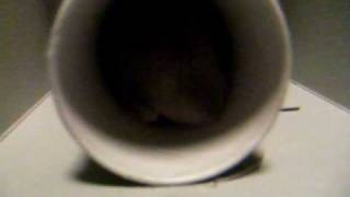 DSCF1107.AVI