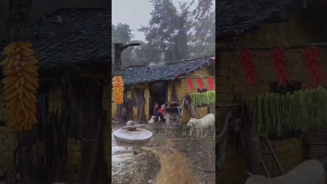 Village Rain Status ll Heavy Rain in village ll Tez barsaat ll Monsoon ll Rainy season ll barish ll