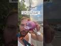 The real reason we went to Panama #funny #panama #onion #friends #meme
