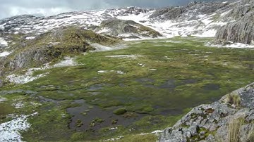 Impact Assessment of Water Quality on Ecosystems with Neural Networks in Python