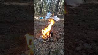 Baybars Abiyle Ormanda Çay Keyfi