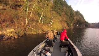 Sandy River Winter Steelhead.mov