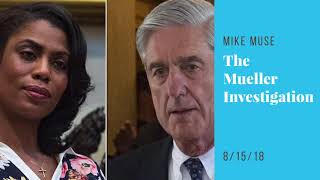 Political News Update: The Mueller Investigation May Use Omarosa Tapes | Sway's Universe
