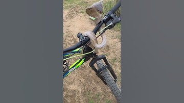 Unbelievable Snake Moment 🐍 | You Won’t Believe This! #shorts #snakes