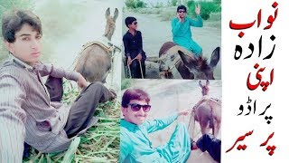 Vella Munda Apni New Prado Par Viest Krty Hoy Funny Call Whatsapp Video