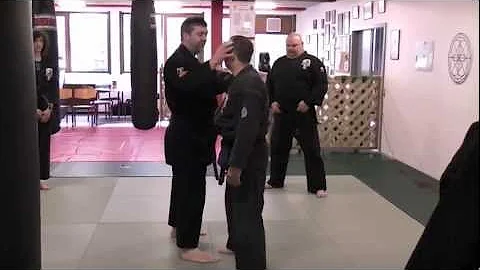 Edward Downey - Kenpo insight Triggered Salute