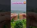 good morning 🌄#viral #trending #video