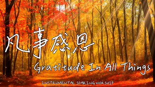 凡事感恩 Gratitude In All Things | 等候神音樂 | Soaking Music | 靈修音樂 | Instrumental Music | Worship | 輕音樂
