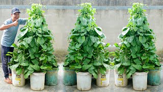Planting Vegetable Tower For Summer, Not Only Delicious But Also Excellent For Cooling