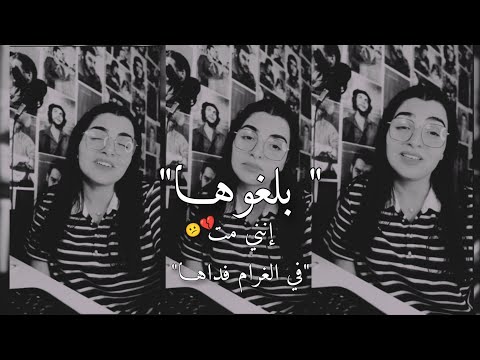 أجمل صوت على التيك توك صوتها بلغوها إذا أتيتم حماها بالفصحى