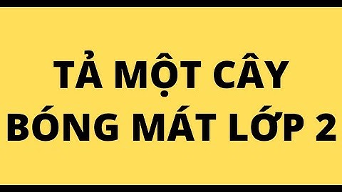 Bài văn tả văn về cây bóng mát lớp 2 năm 2024