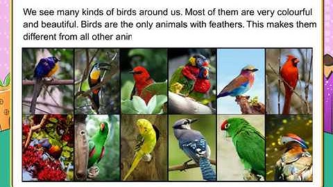 Saplings Nature First-3 Chapter 7: World of Birds (EVS)