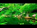 Deep Sleep Music and Nature Sounds - Zen Garden HD Relaxing