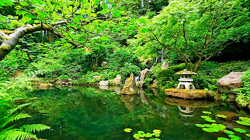 Deep Sleep Music and Nature Sounds - Zen Garden HD Relaxing