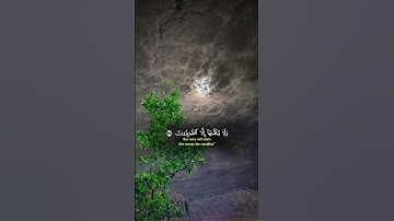 #قران_كريم #قرآن🤍 #بصوت_شيخ_ياسر_الدوسري #قرآن #راحة_نفسية #تلاوة_خاشعة #اكسبلور #قرآن #explore #fyp