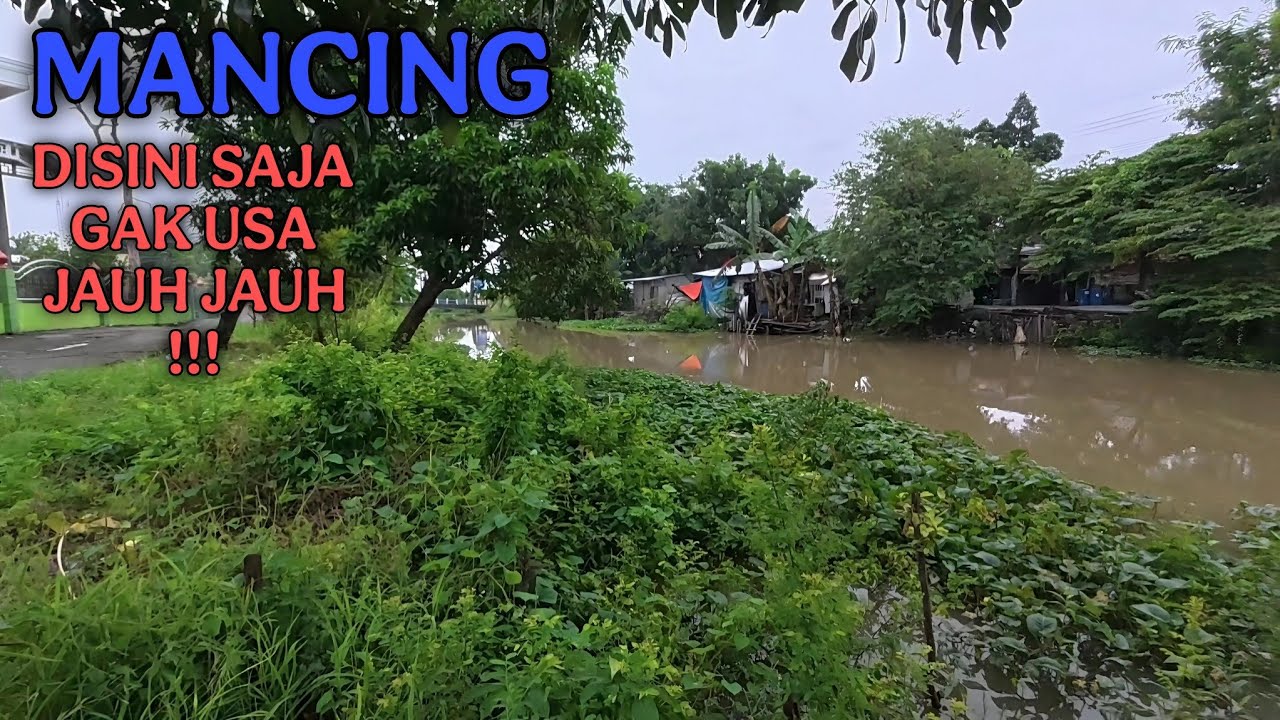 Mancing disini saja gak usa jauh jauh !!!
