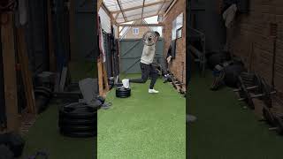 Barbell RFESS