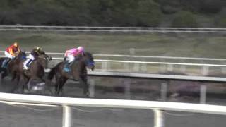 Cash Call Futurity 2011