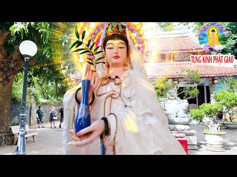 Video Nghe Kinh Cầu An Mẹ Quan Âm Nân Đỡ Bệnh Gì Cũng Hết... - youtube