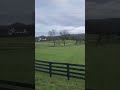 2022 RC Vlog EP09: Driving around Franklin, TN Countryside, 12/21/2022