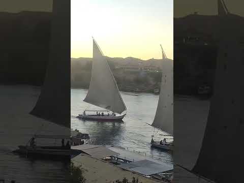 مراكب الشراع فاسوان