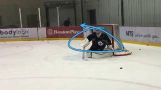 NHL GOALTENDER RVH GLOVE SIDE OPTIONS by Pasco Valana