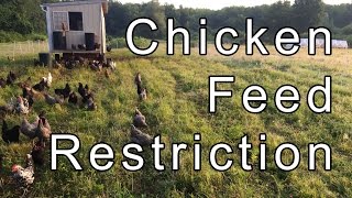 Update: Chicken Feed Restriction