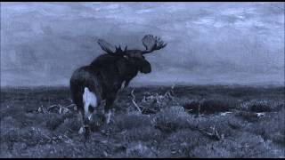Video thumbnail of "Wilfred - 's Avonds komt de eland uit de duinen (Abends treten Elche aus den Dünen)"