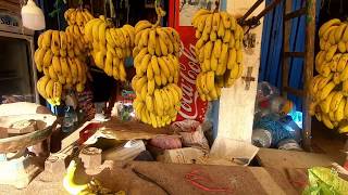 Download Lagu Taghazout Bay surfing - buying bananas at Banana village! MP3