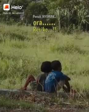 penak nyawang ora resiko #shorts