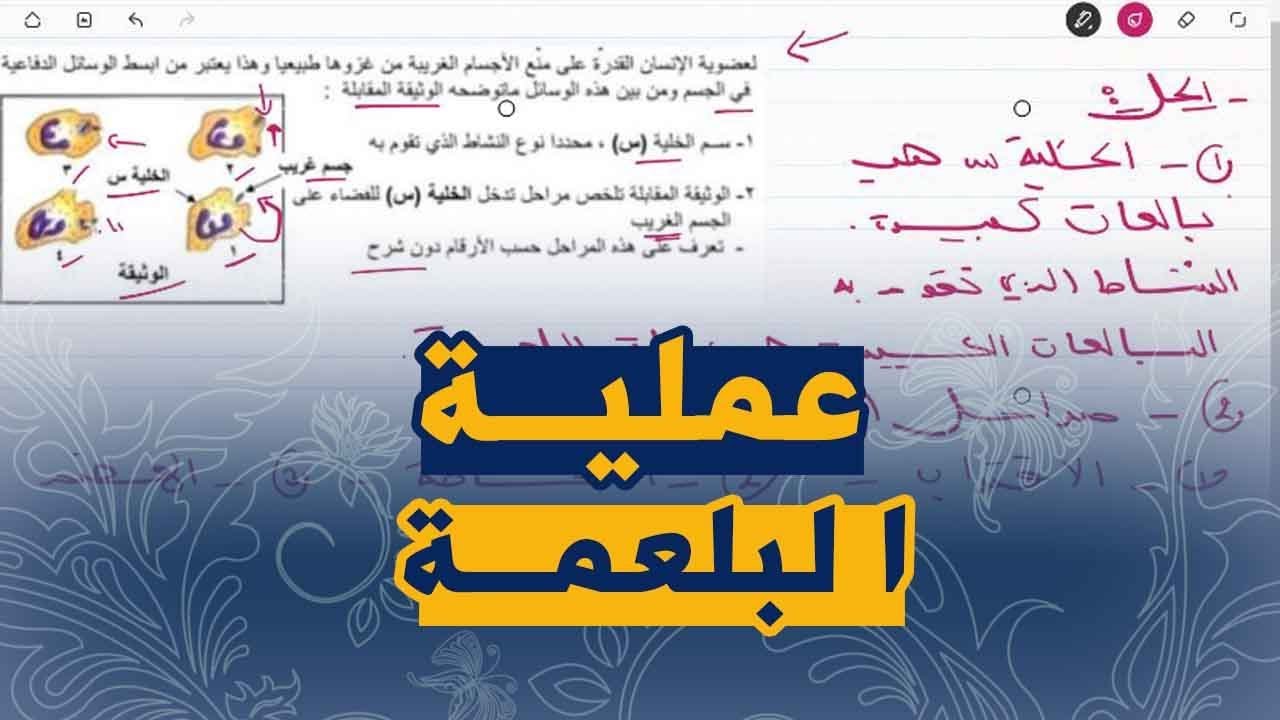 علوم طبيعية للسنة الرابعة متوسط تمرين خاص بعملية البلعمة