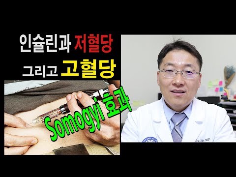 당뇨: 인슐린: 저혈당과 고혈당의 문제 치료법