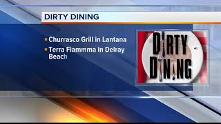 DIRTY DINING: 3 restaurants temporarily shut down in Palm Beach County